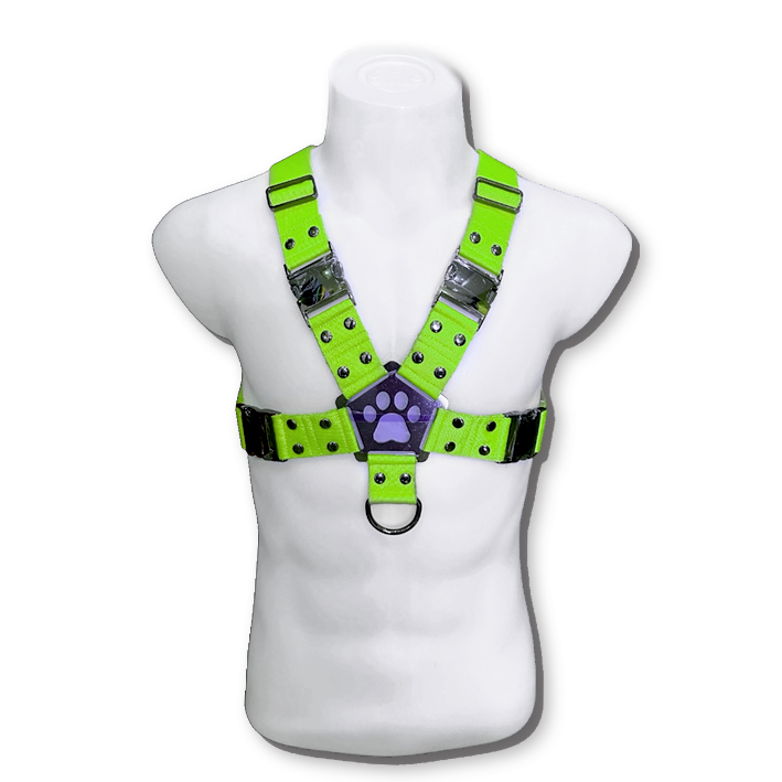 Half-body Harness