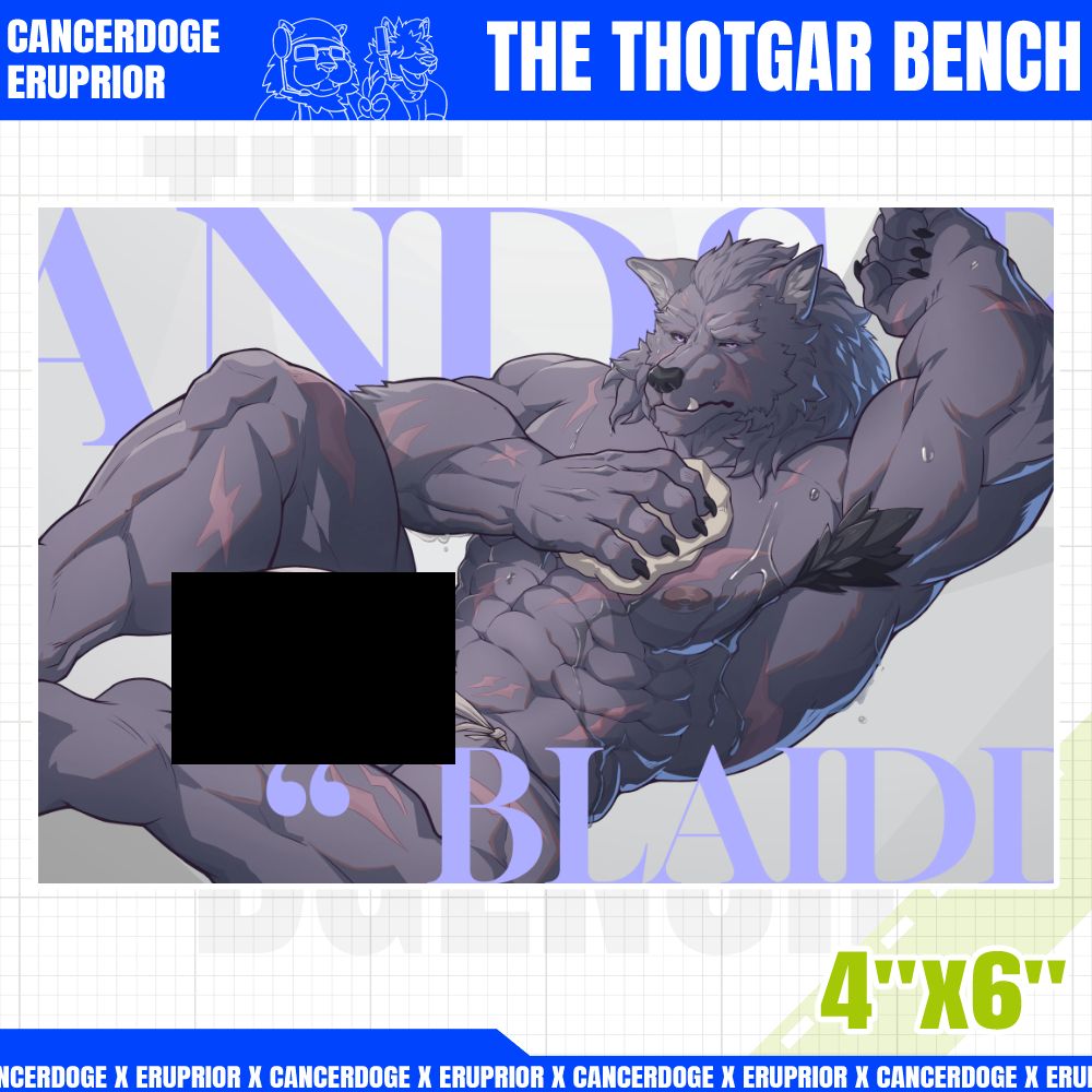 Blaidd Postcard