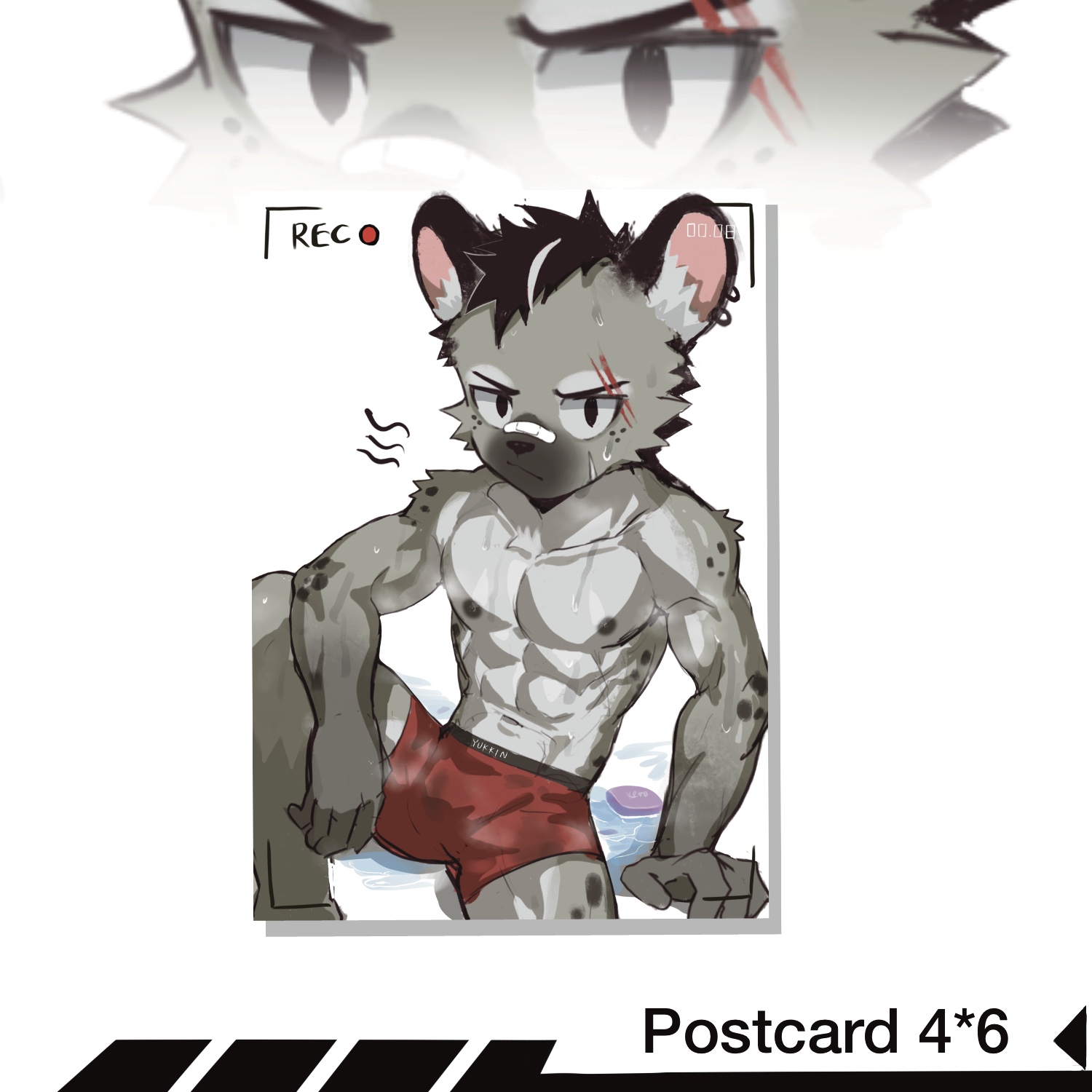 Postcard 4*6 "
