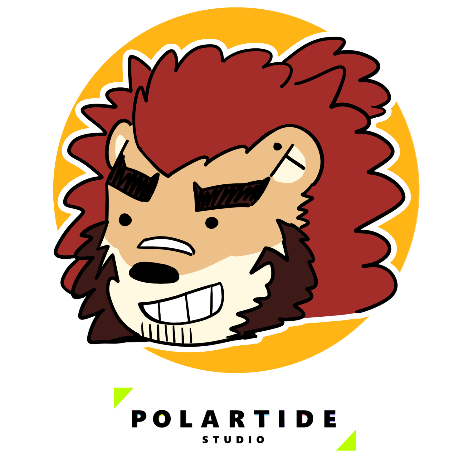 Polartide studio
