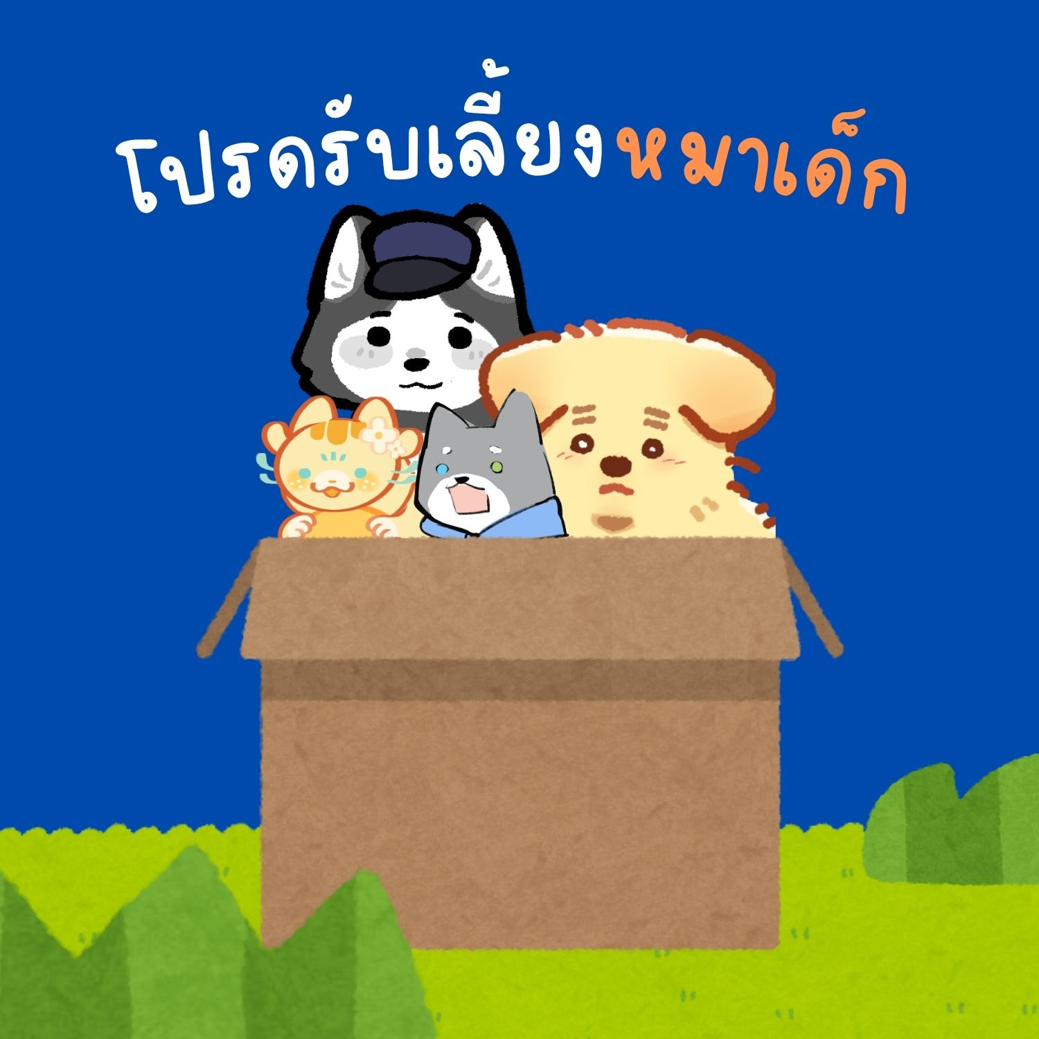 โปรดรับเลี้ยงหมาเด็ก